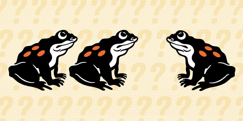 câu đố thú vị ảnh 1 cau do thu vi anh 1