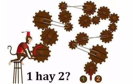 Cau do banh rang quay cua 'Duong len dinh Olympia' hinh anh