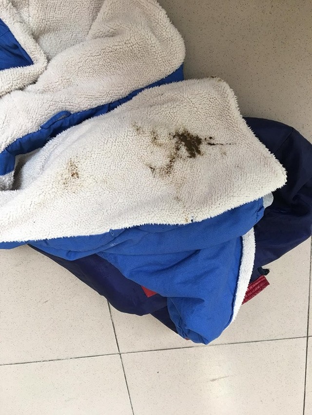 ao hoc sinh dinh phan anh 1