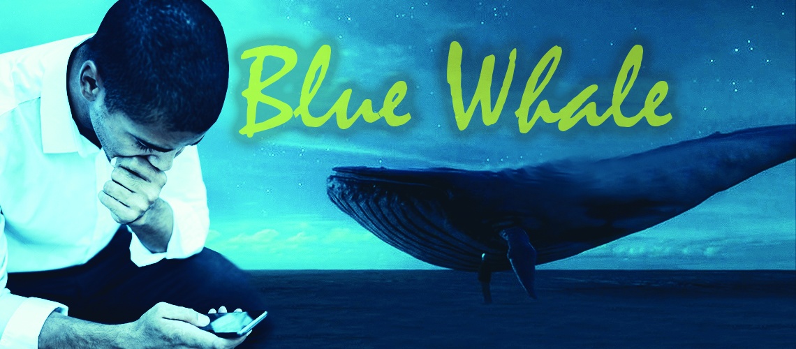 thử thách cá voi xanh ảnh 2 thu thach ca voi xanh anh 2