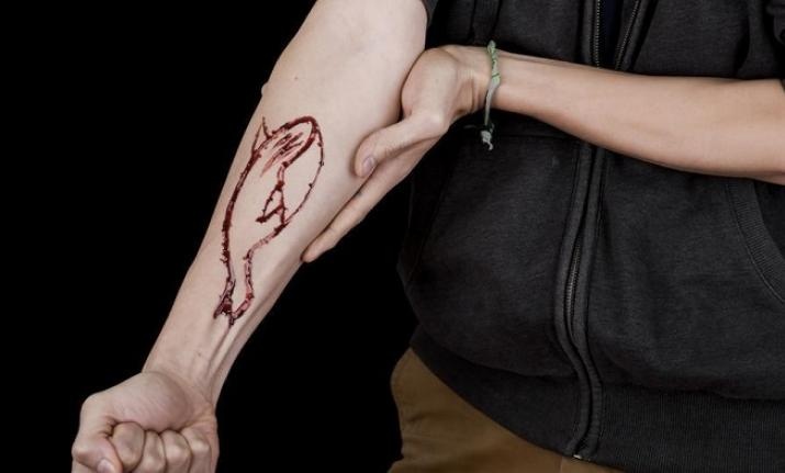 thử thách cá voi xanh ảnh 1 thu thach ca voi xanh anh 1