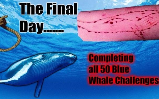 Nguoi song sot tu 'Ca voi xanh': Giay giua thoat chet vao ngay thu 50 hinh anh