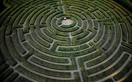 Ai nhat duoc vang giua me cung? hinh anh