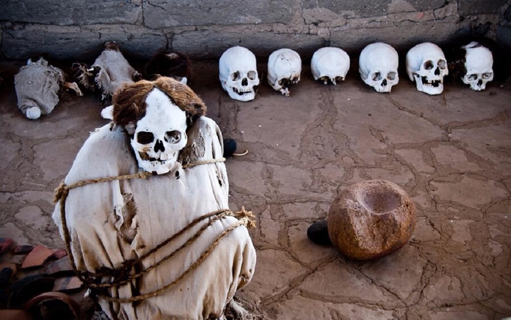 Diem du lich rung ron quan tai treo nam o dau? hinh anh