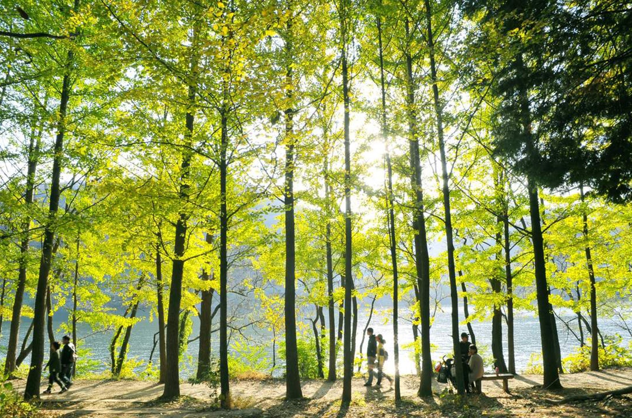 nhung diem phai den khi du lich Seoul anh 5