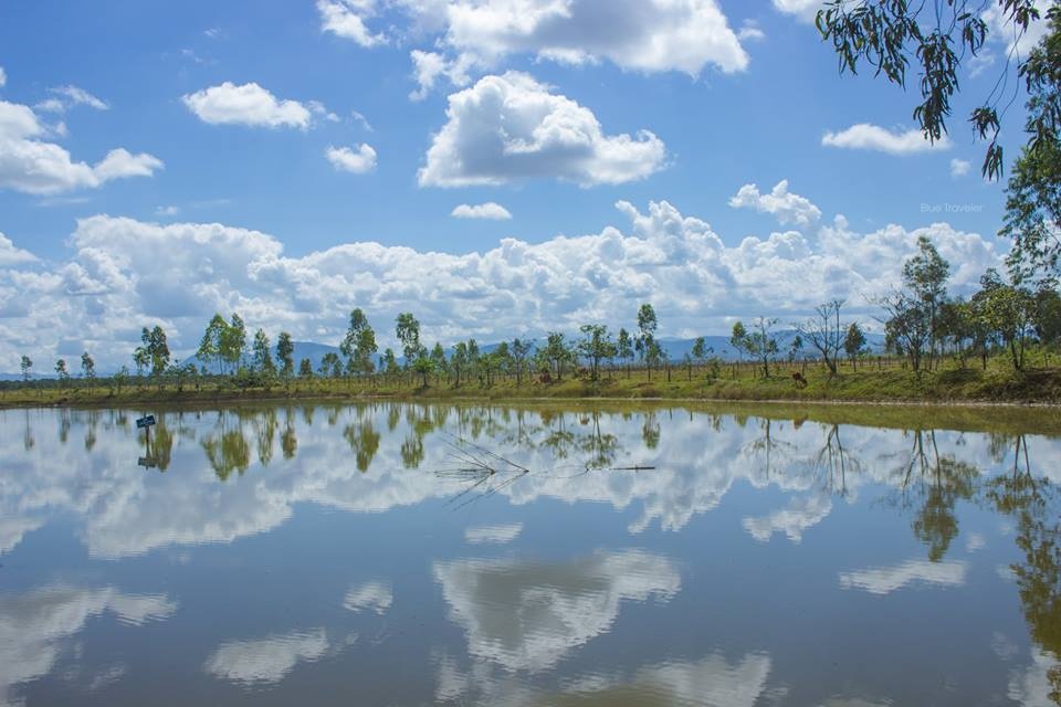 kham pha dat nuoc trieu voi anh 25