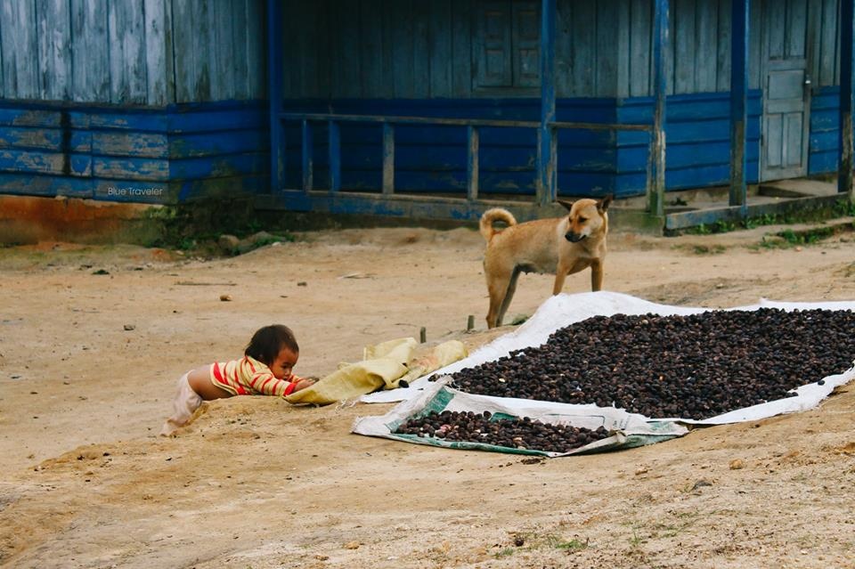 kham pha dat nuoc trieu voi anh 4