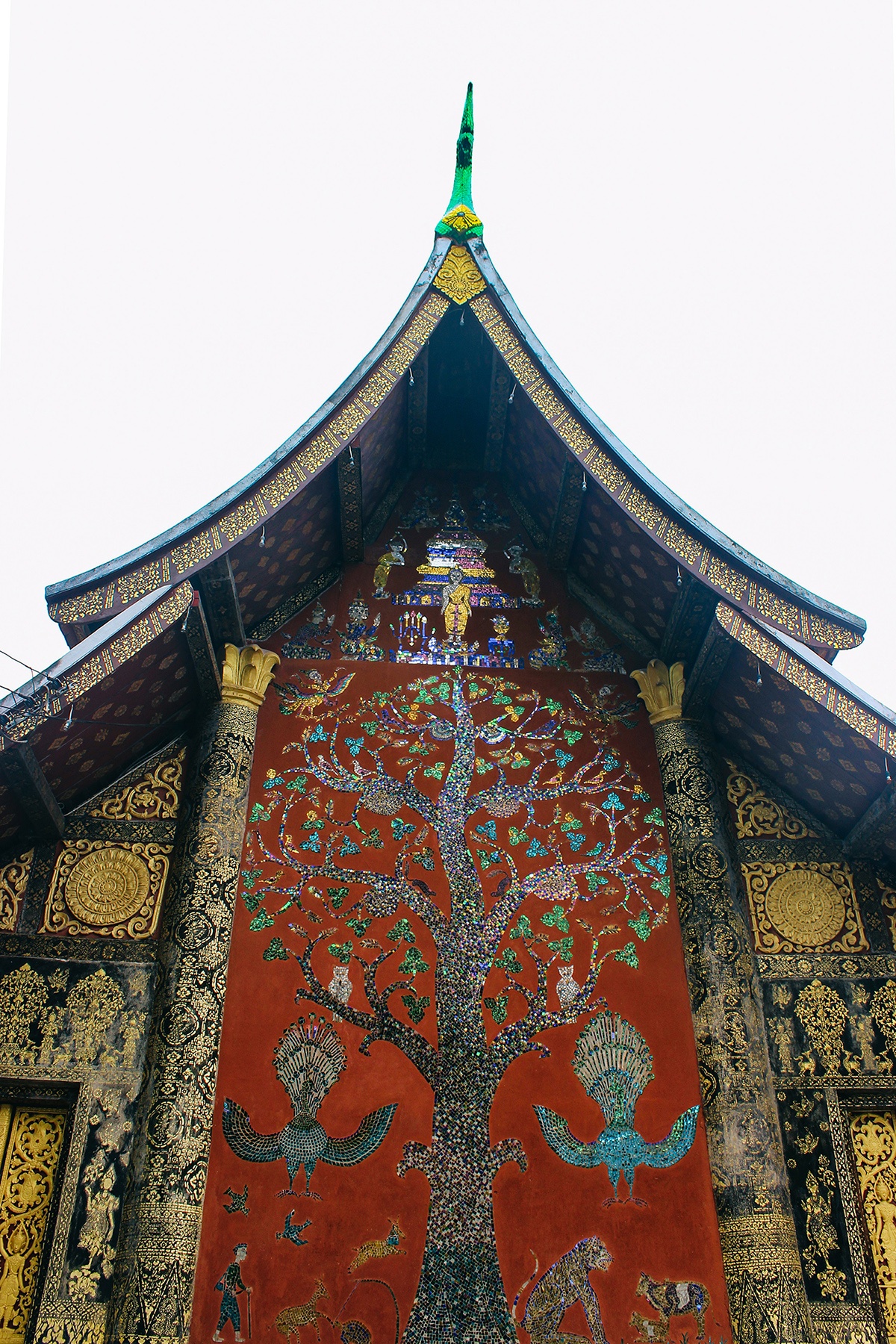 kham pha dat nuoc trieu voi anh 15