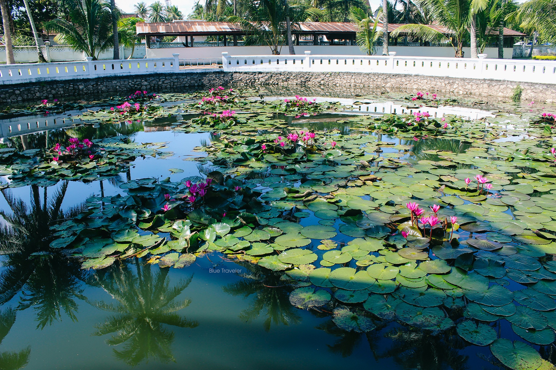 kham pha dat nuoc trieu voi anh 13