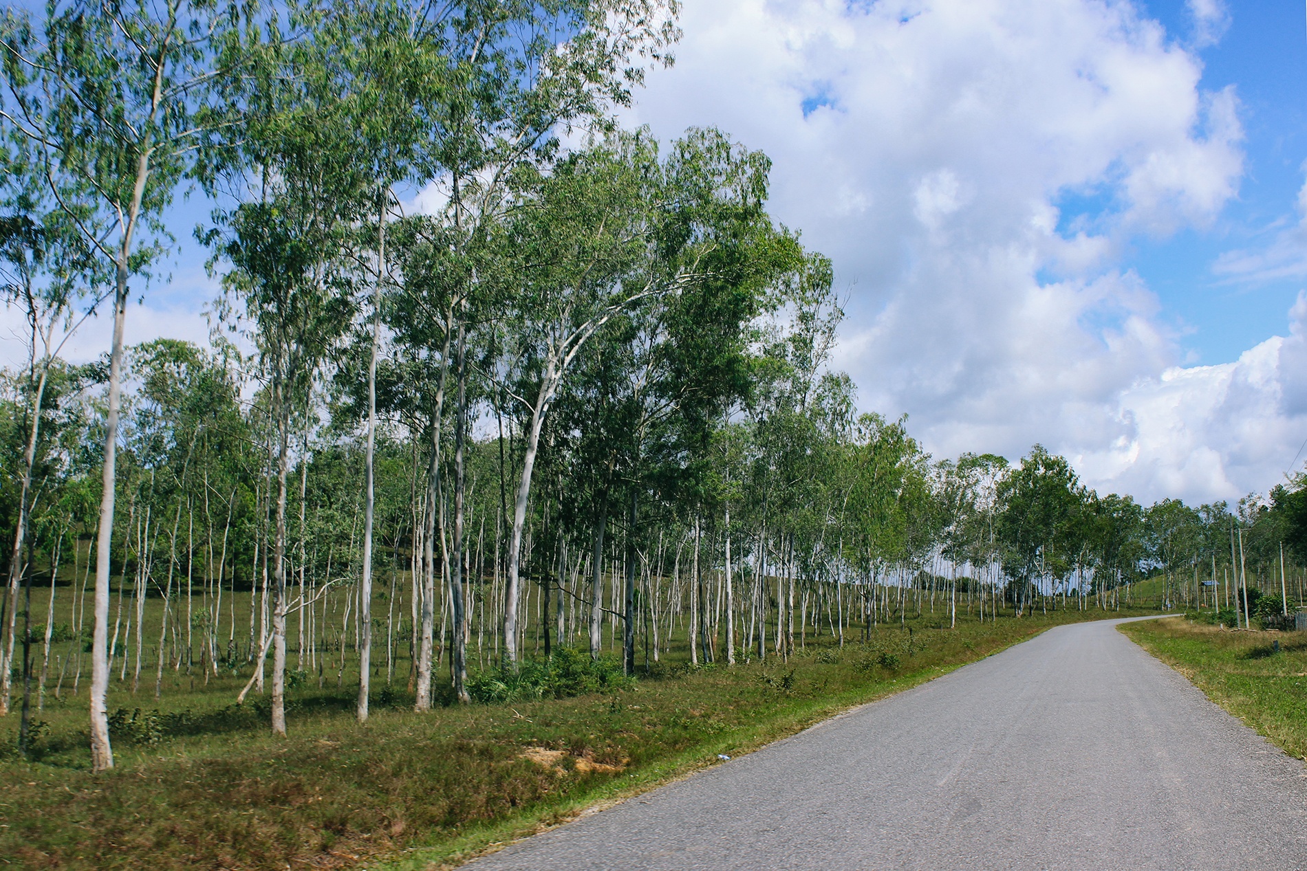 kham pha dat nuoc trieu voi anh 6