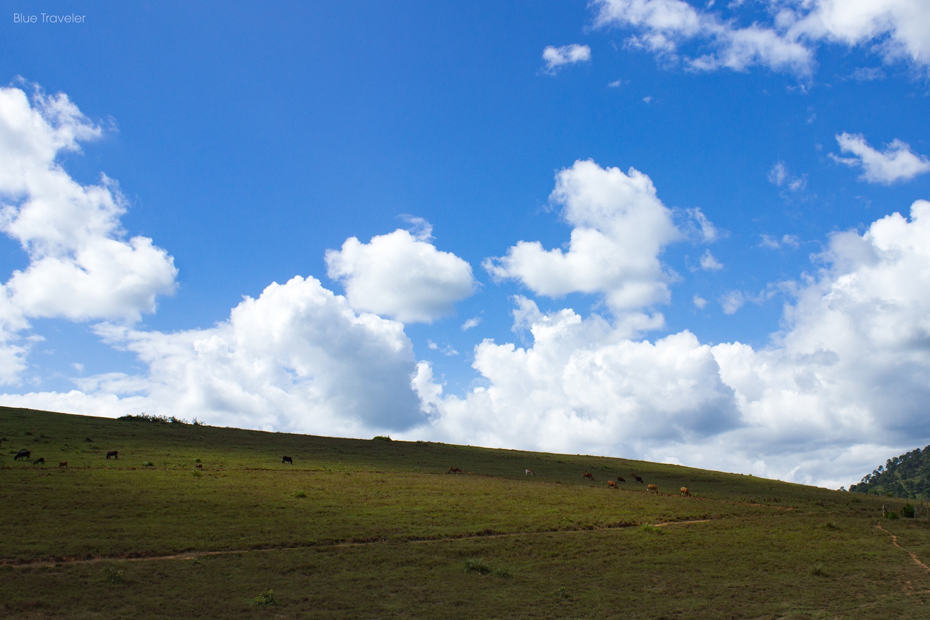 kham pha dat nuoc trieu voi anh 9