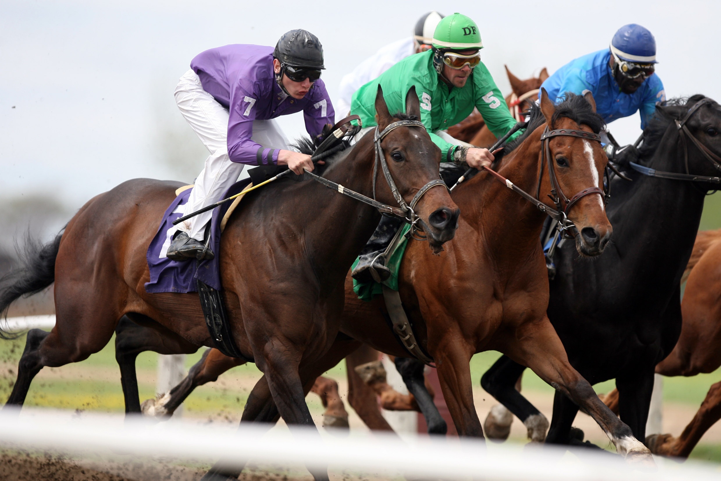 câu đố tưởng khó mà dễ ảnh 1 cau do tuong kho ma de anh 1
