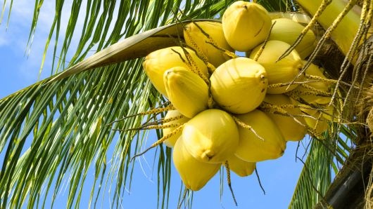 câu đố tưởng khó mà dễ ảnh 1 cau do tuong kho ma de anh 1
