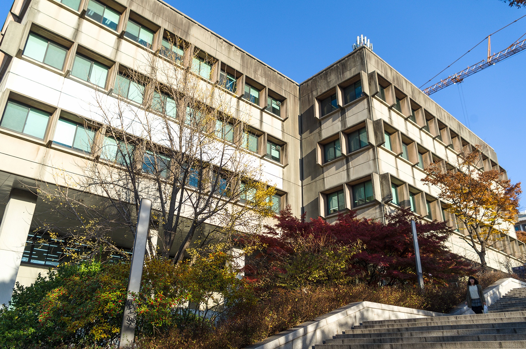 DH Quoc gia Seoul anh 2