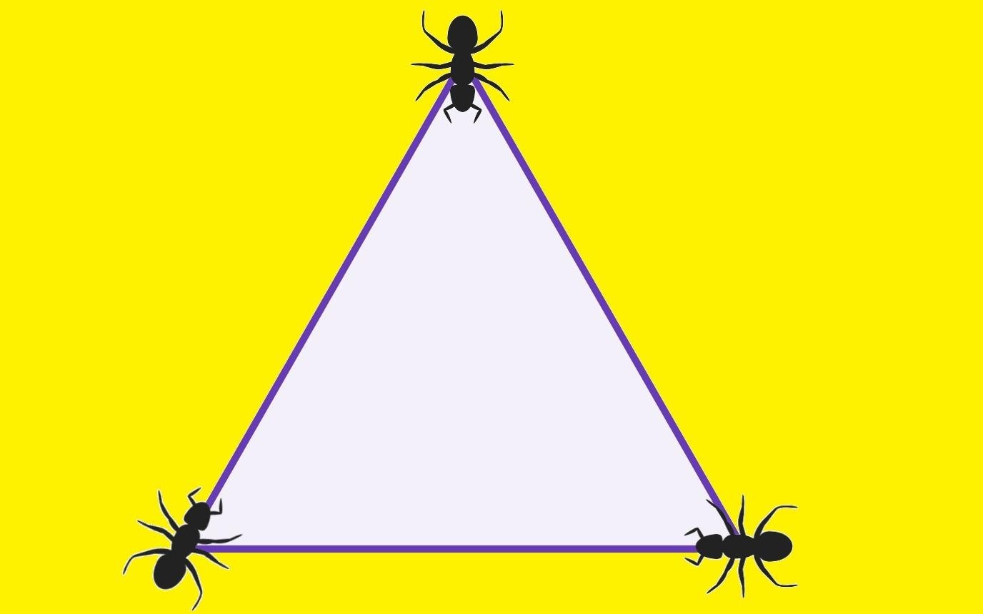 Cau do kien bo quanh hinh tam giac hinh anh