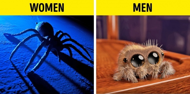 khac biet tu duy giua nam va nu anh 1