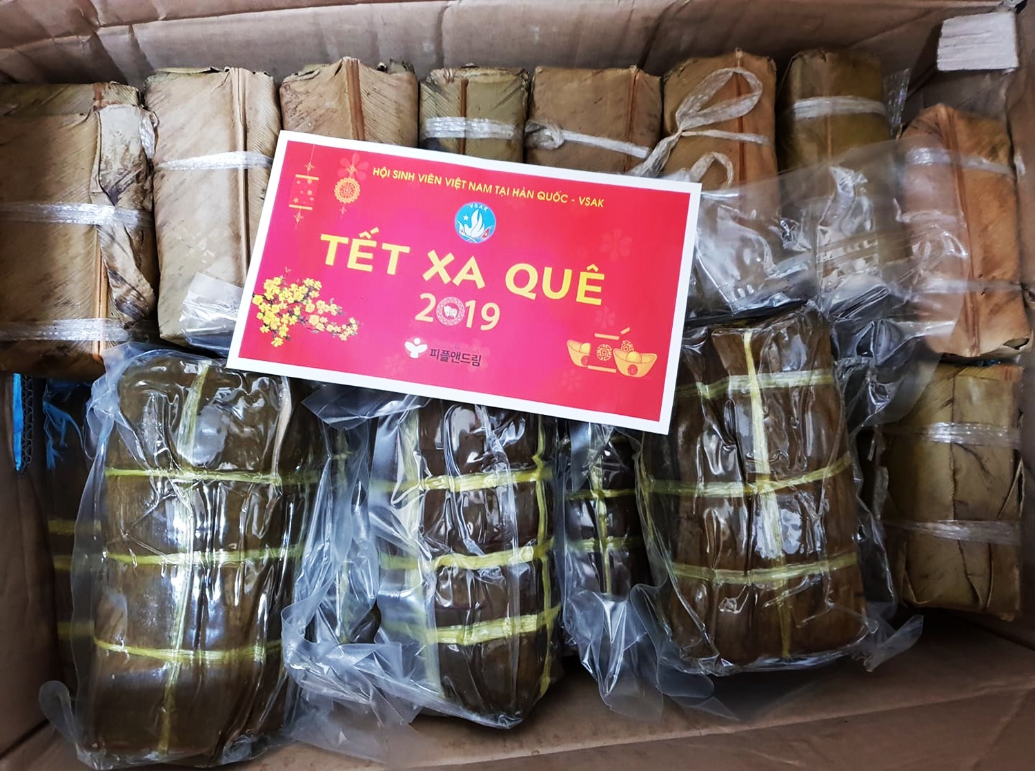 du hoc sinh don tet anh 8