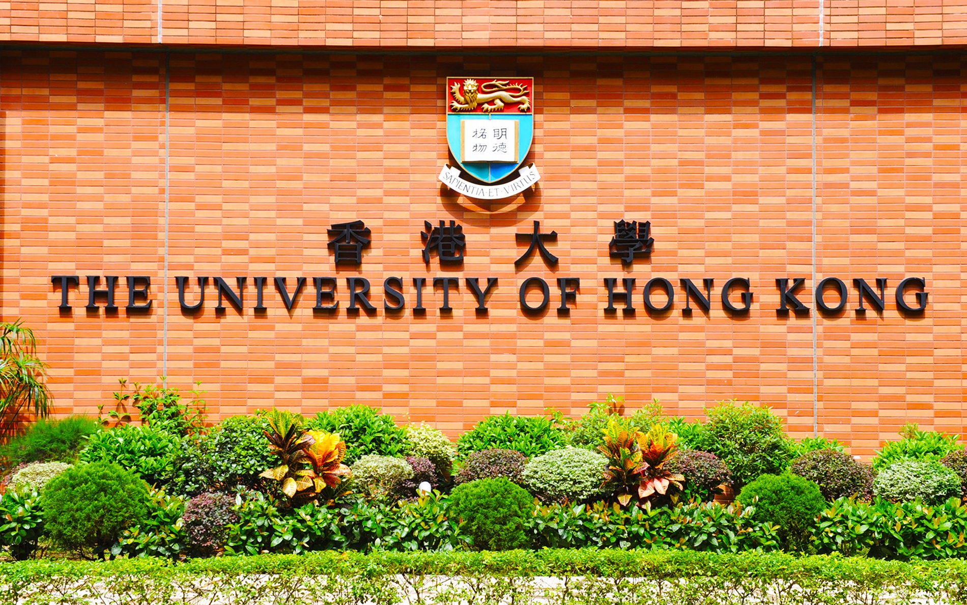 dai hoc hong kong anh 2