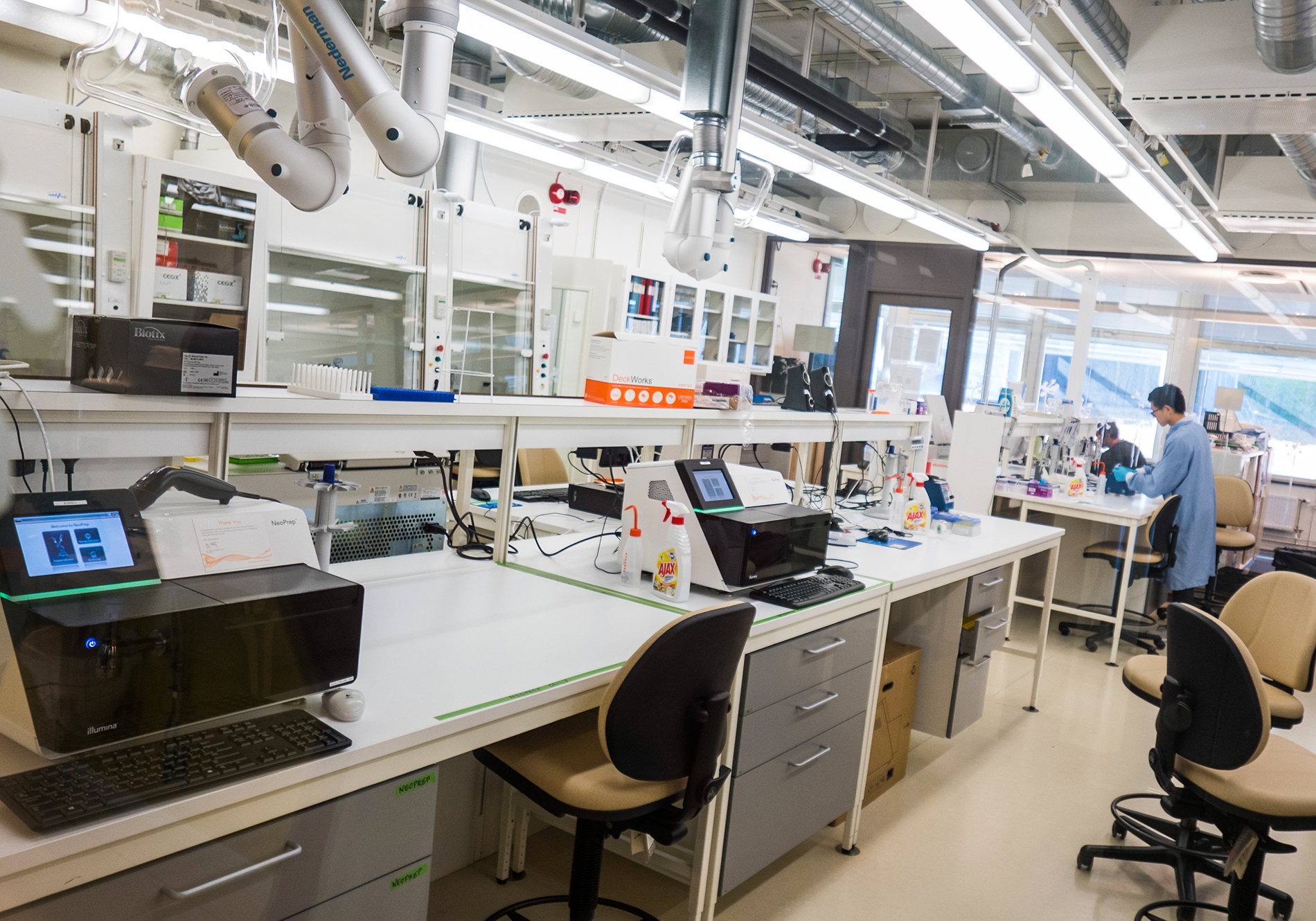 dai hoc hong kong anh 6