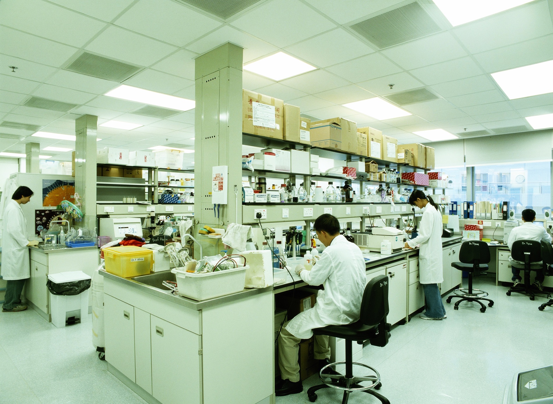 dai hoc hong kong anh 7