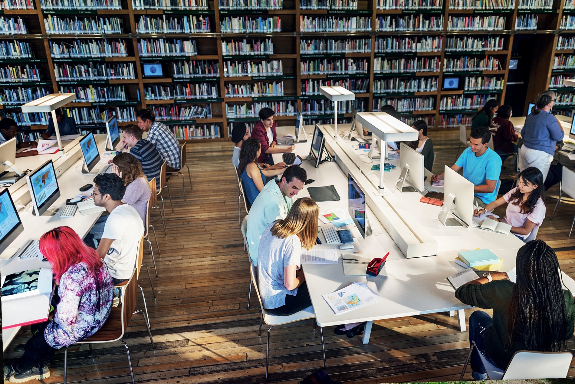 dai hoc hong kong anh 8