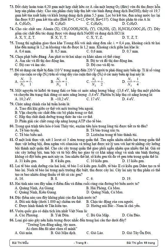 bai thi danh gia nang luc anh 9