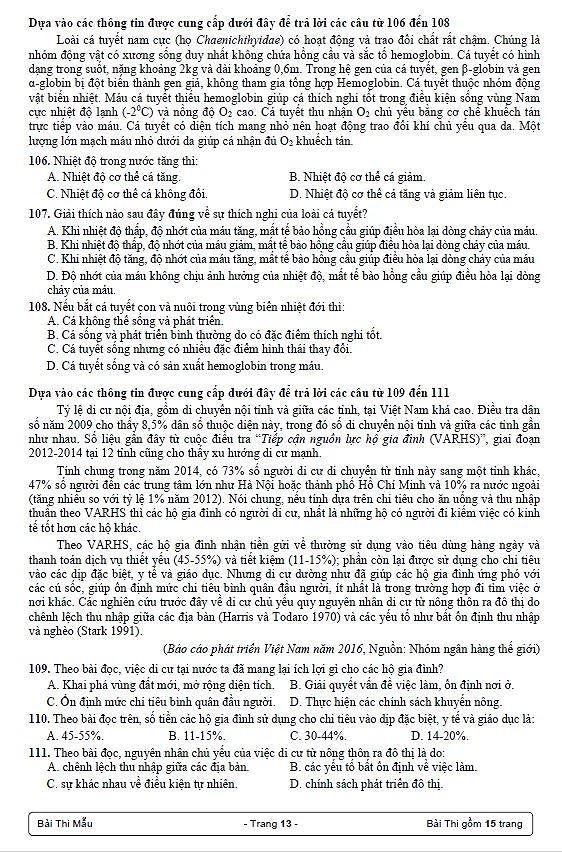 bai thi danh gia nang luc anh 13