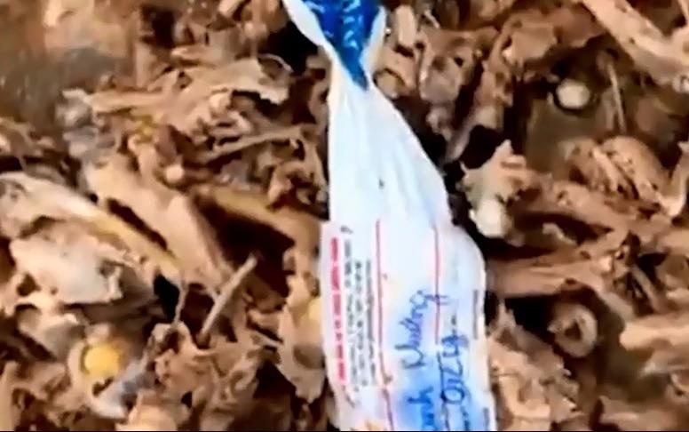 Xuong ga, vo bao nylon trong bua an cua tre mam non hinh anh