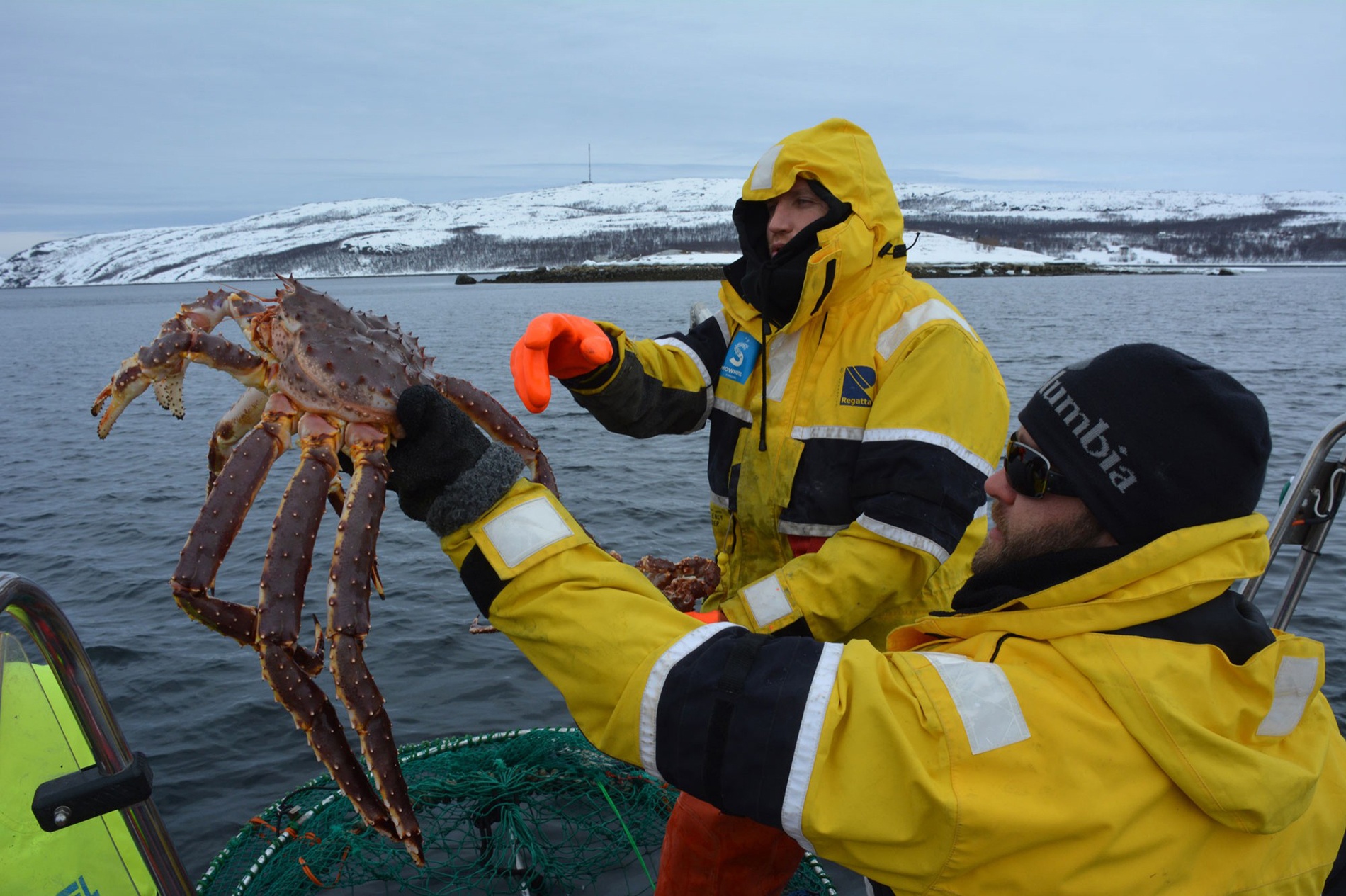 cong viec luong cao anh 2