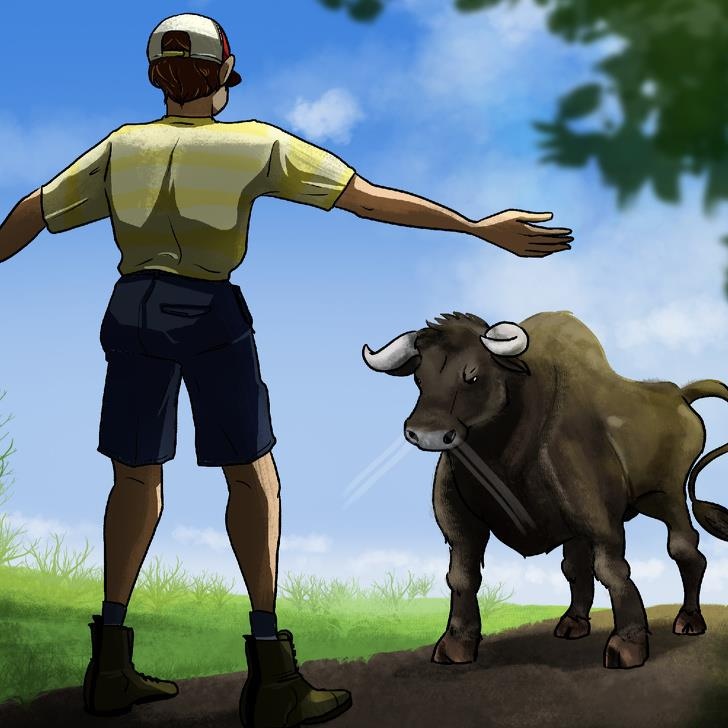 cá mập tấn công ảnh 4 ca map tan cong anh 4