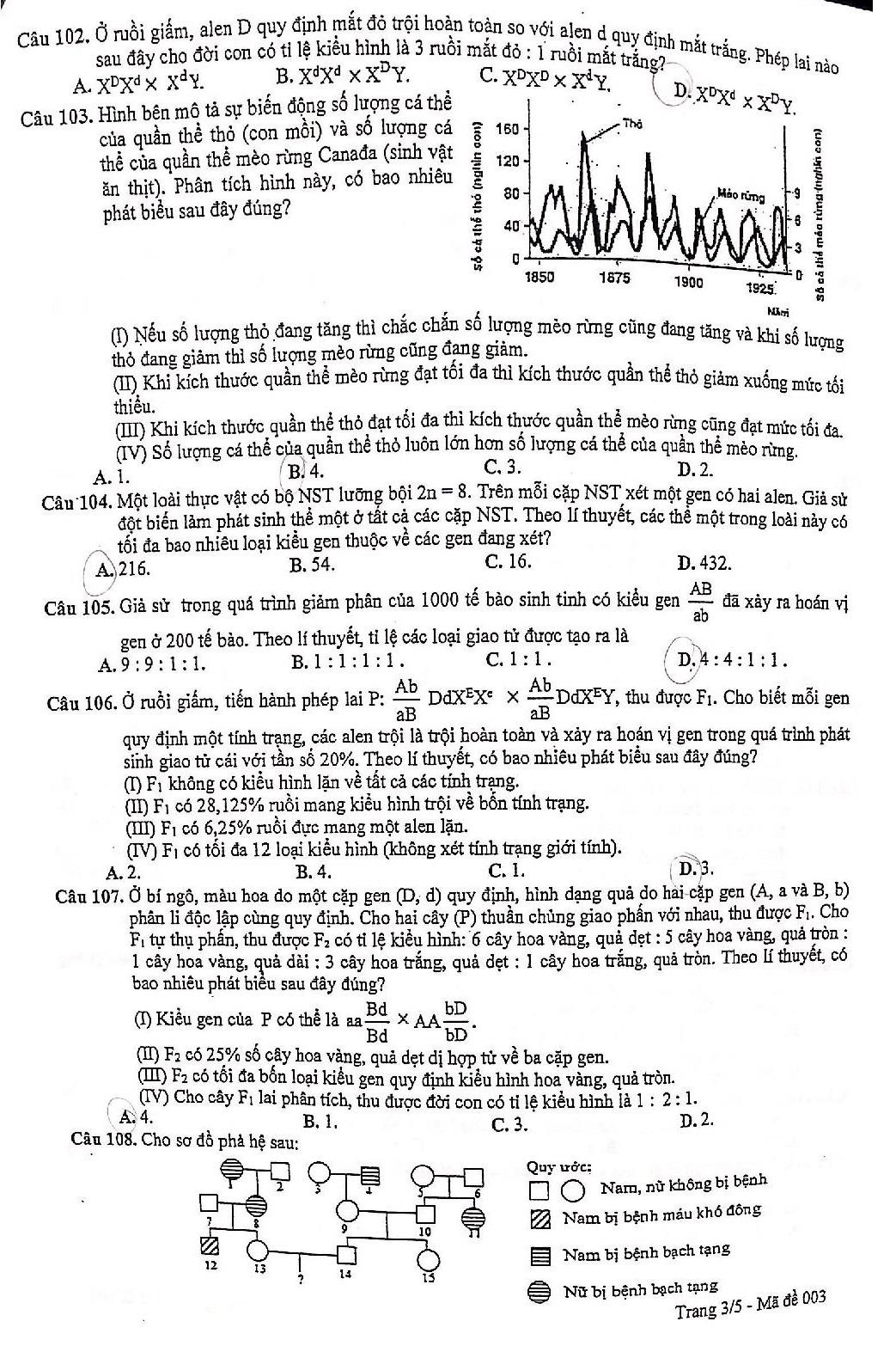 thi thử thpt quốc gia ảnh 11 thi thu thpt quoc gia anh 11