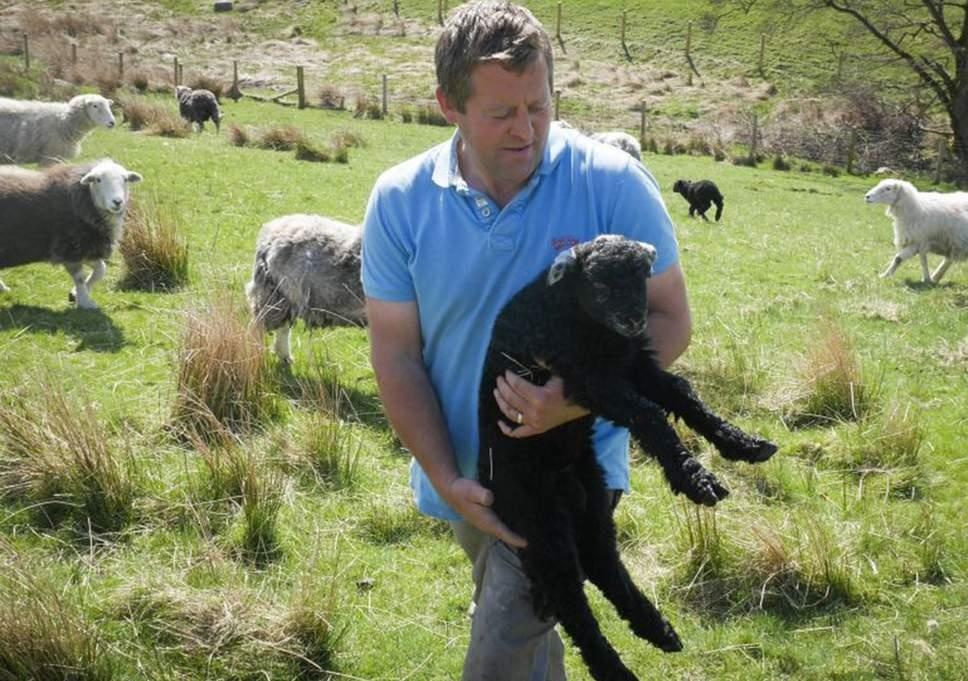 benh khien con nguoi tuong minh la cho anh 10