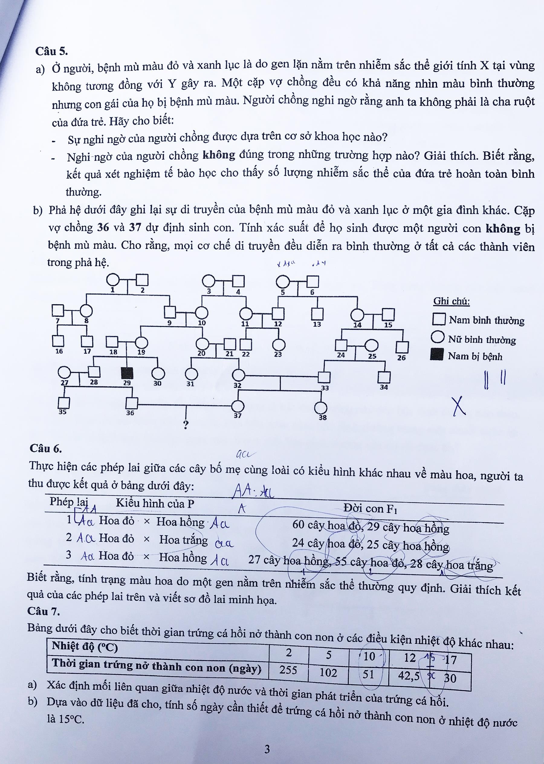 de thi tuyen vao lop 10 anh 3