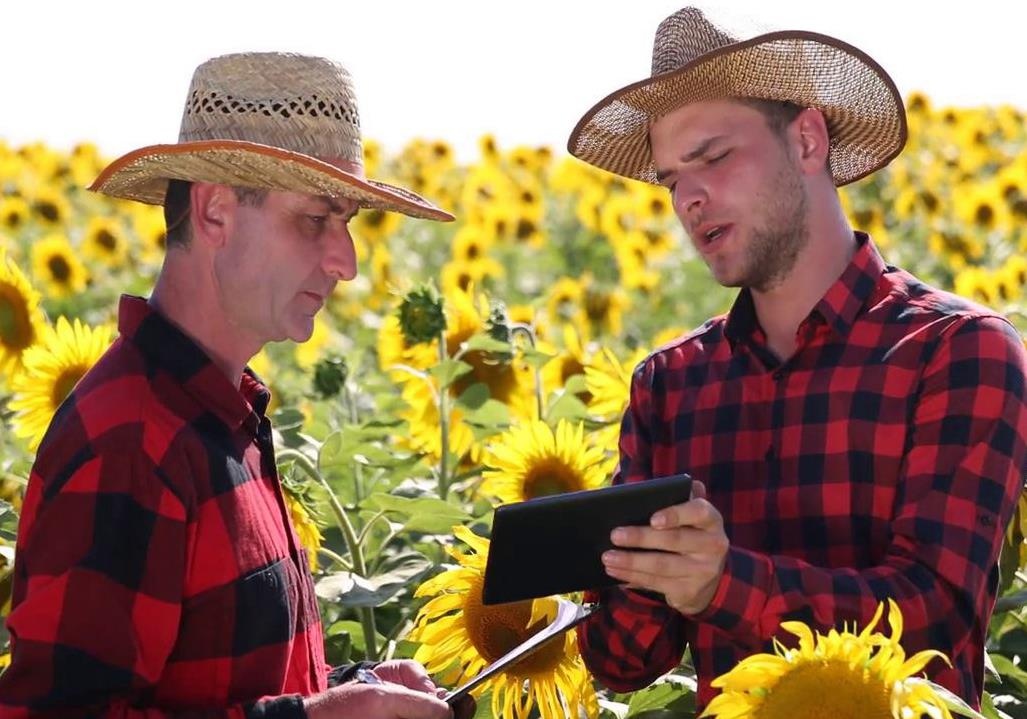 Cau do 3 anh em chia tien mua hat giong hinh anh