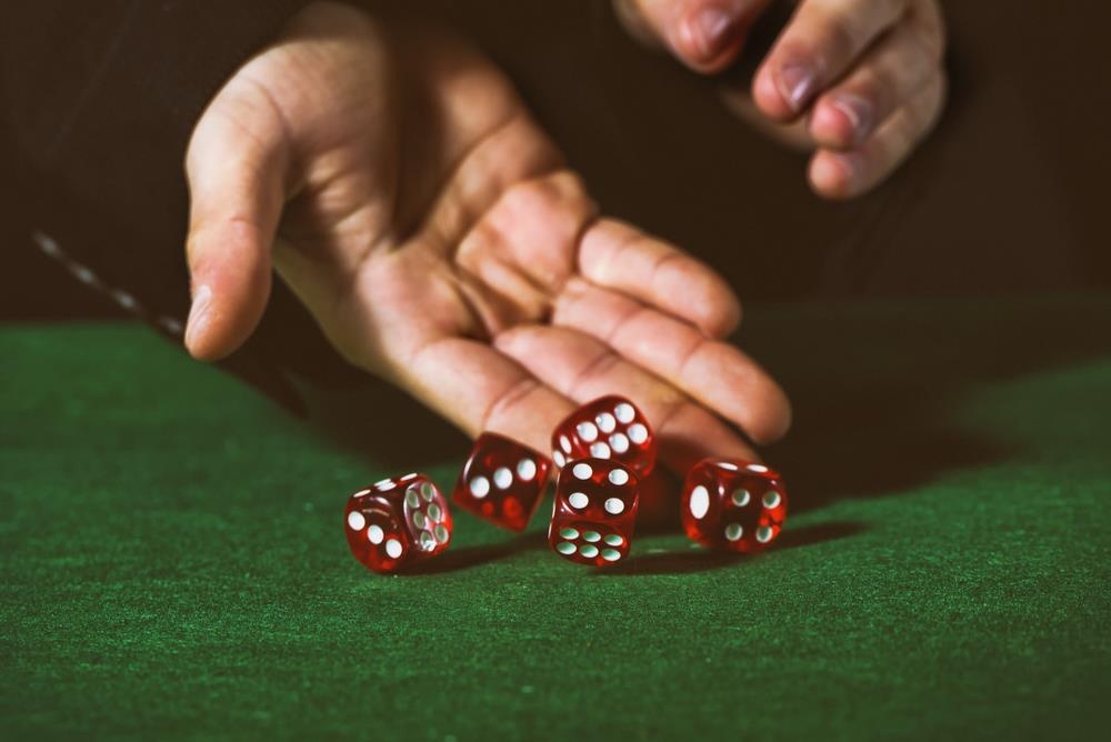 Cau do danh lieu tung xuc xac de tang gap doi so tien hinh anh