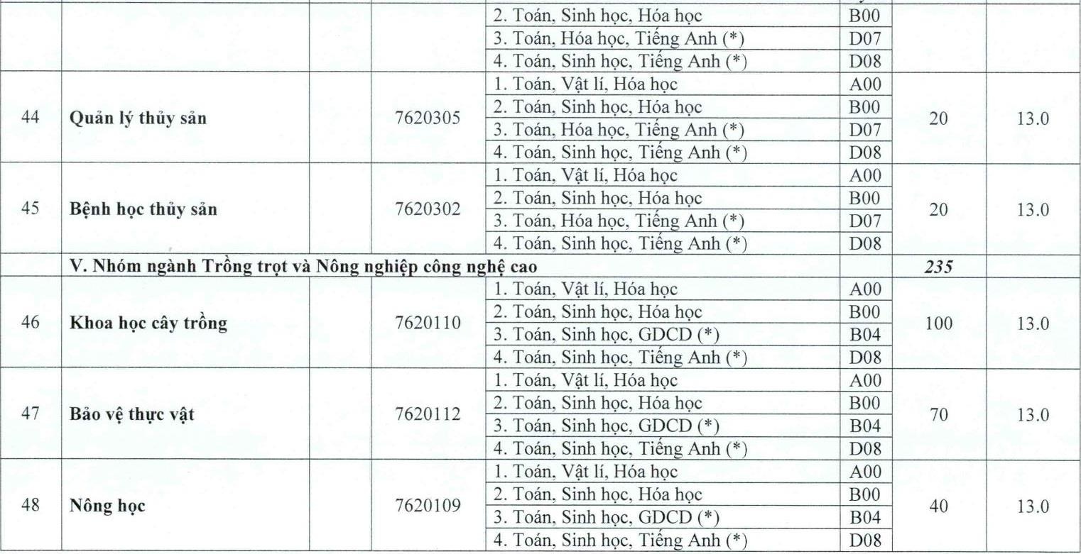 DH hue cong bo diem san anh 11