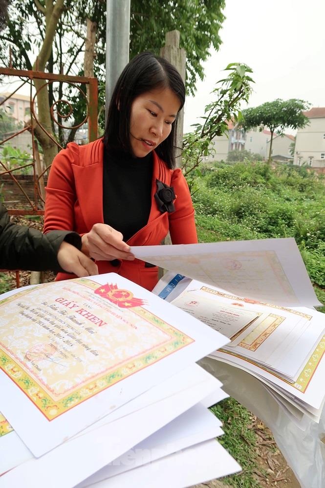 giao vien soc son co nguy co that nghiep anh 1