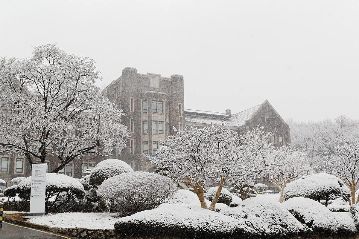 Khuon vien dep nhu tranh cua DH Yonsei anh 5