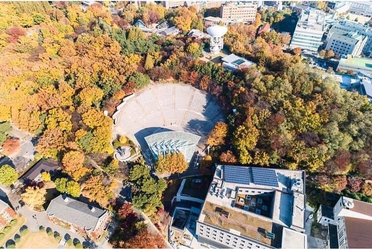 Khuon vien dep nhu tranh cua DH Yonsei anh 7