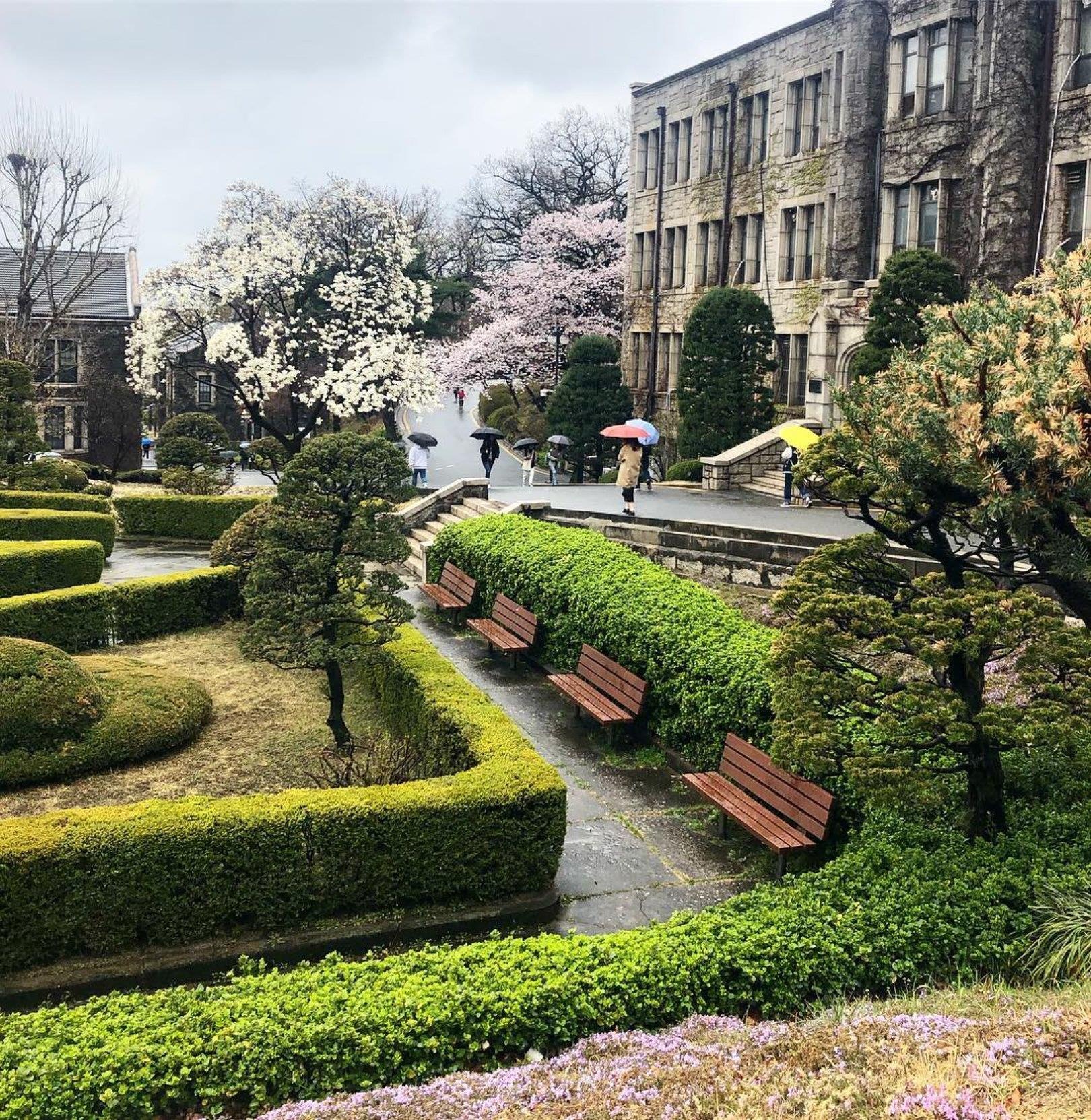 Khuon vien dep nhu tranh cua DH Yonsei anh 4