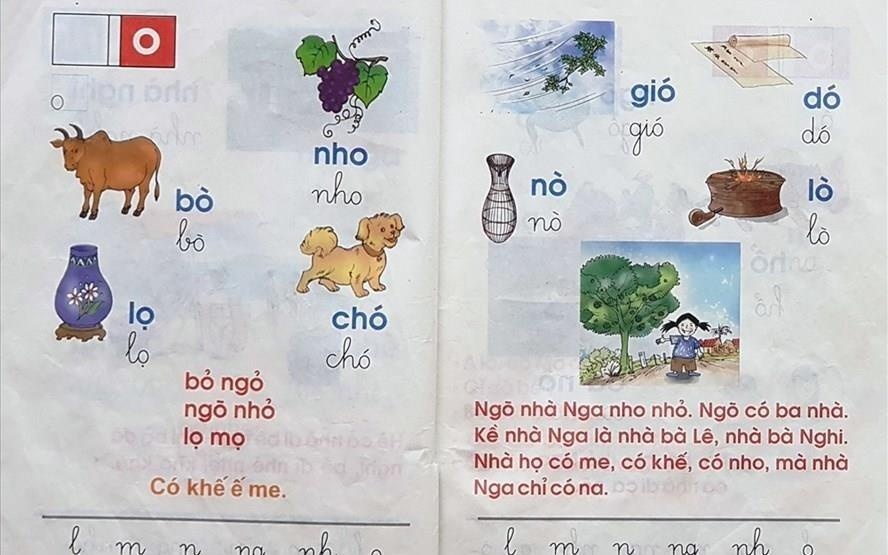 Ap dung cong nghe giao duc cua GS Ho Ngoc Dai neu hoc sinh tu nguyen hinh anh