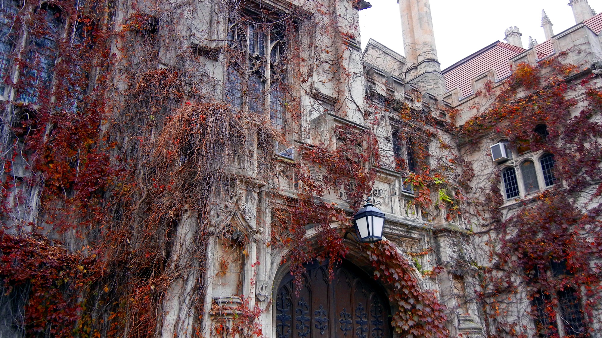 dai hoc tot nhat the gioi anh 9