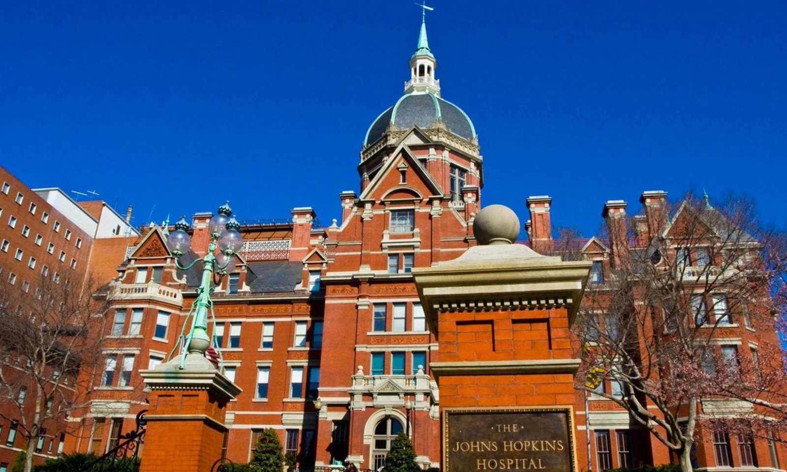 dai hoc y hang dau o my anh 3