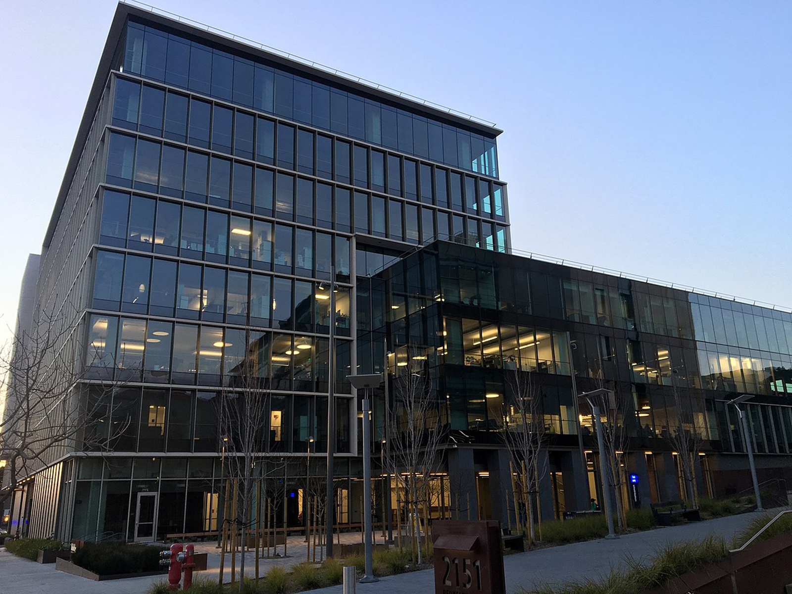 dai hoc y hang dau o my anh 4