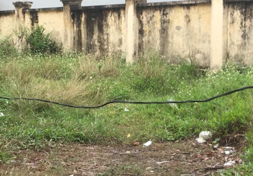 Học sinh bị điện giật ảnh 1 Hoc sinh bi dien giat anh 1