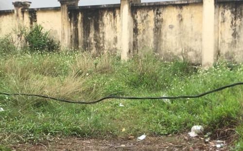 Hoc sinh bi dien giat, hieu truong phai chiu trach nhiem chinh hinh anh