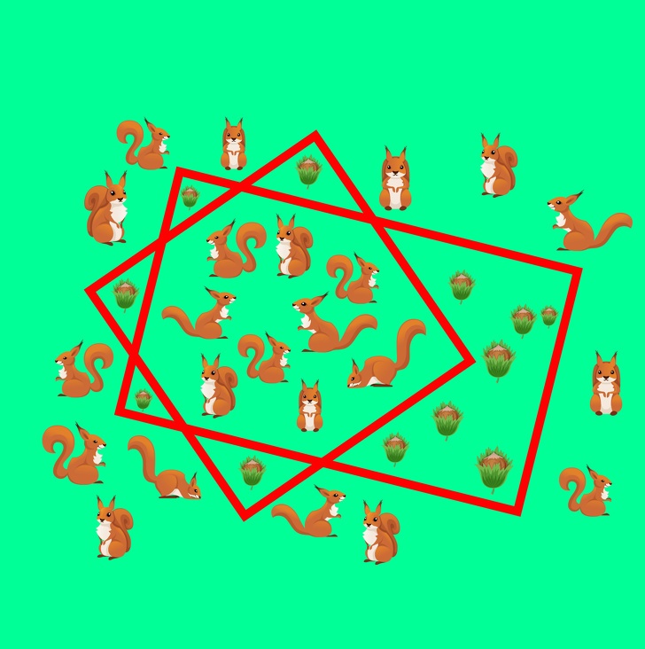 câu đố hóc búa ảnh 1 cau do hoc bua anh 1