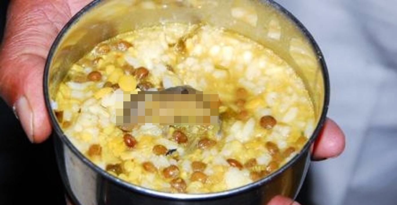 Chuột chết trong suất ăn trưa ảnh 1 Chuot chet trong suat an trua anh 1