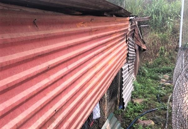 thay hieu truong viet thu xin gao nuoi hoc sinh anh 6