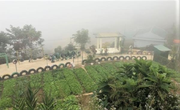 thay hieu truong viet thu xin gao nuoi hoc sinh anh 13